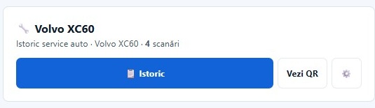 Istoric service auto — interfață